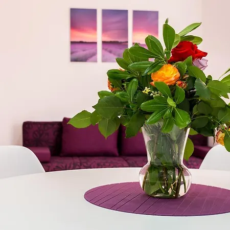 Hrgovcic Appartement *